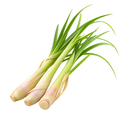 Lemongrass