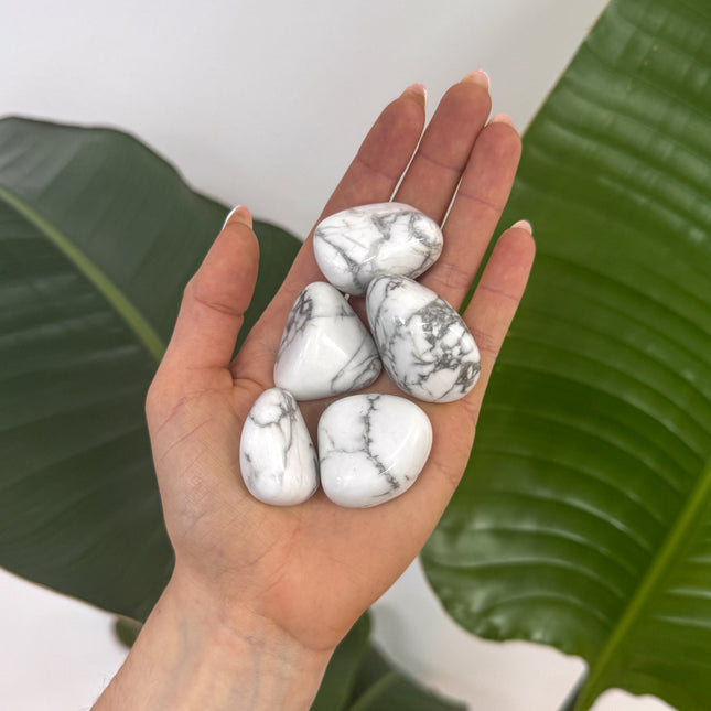 Magnesit Trommelstein