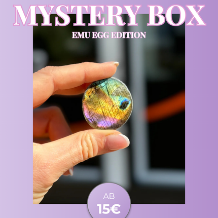 Mytery Box - Emu Egg Edition
