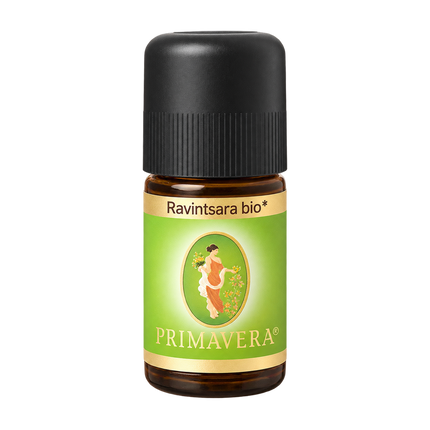 Ravintsara ätherisches Öl bio von Primavera, 5 ml