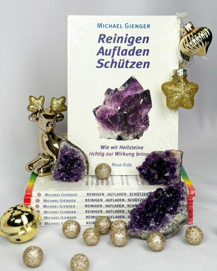 Reinigen, Aufladen & Schützen - Das Taschenbuch