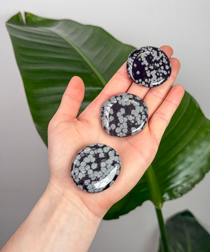 Obsidian (Schneeflockenobsidian) Scheibenstein