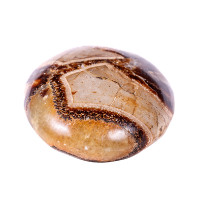 Septarien