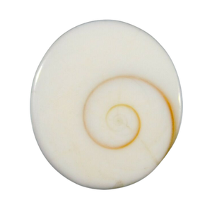 Shiva Auge