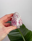 5.4 cm
