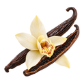 Vanille