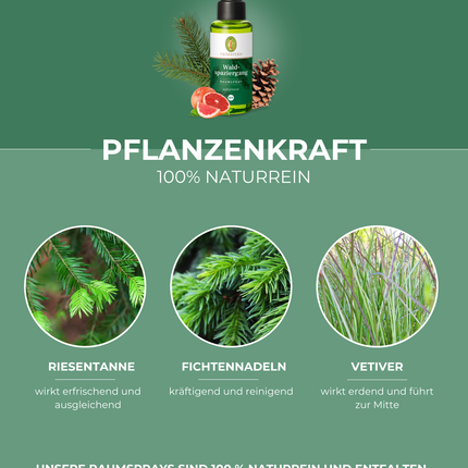 Waldspaziergang Raumspray BIO - Primavera