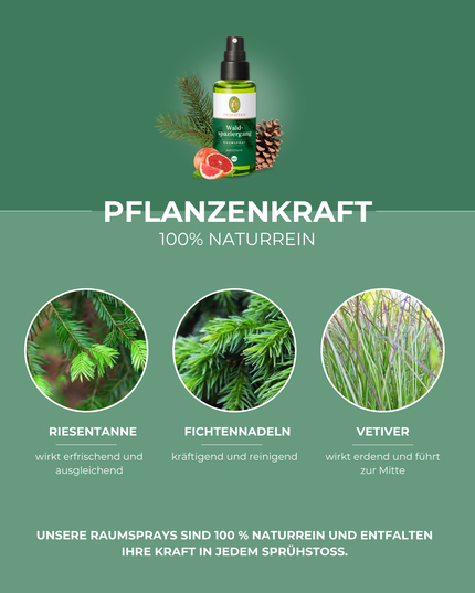 Waldspaziergang Raumspray BIO - Primavera