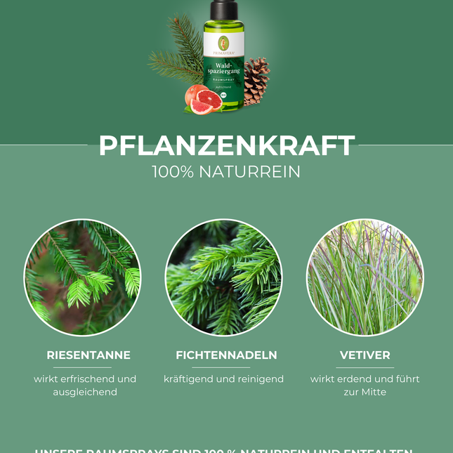 Waldspaziergang Raumspray BIO - Primavera