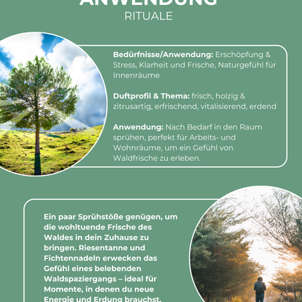 Waldspaziergang Raumspray BIO - Primavera