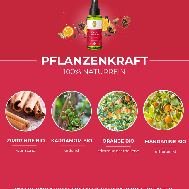 Wintermärchen Raumspray BIO - Primavera