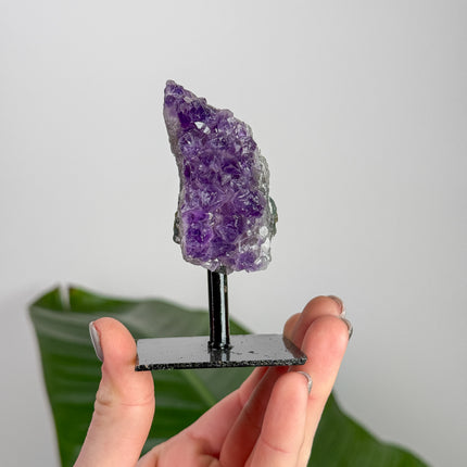 Amethyst Aufsteller - Unikat Auswahl