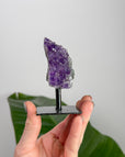 8.4 cm