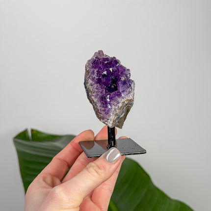 Amethyst Aufsteller - Unikat Auswahl