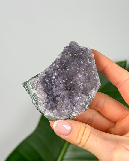 Amethyst Stufen/Cluster - Midi (20-50€)