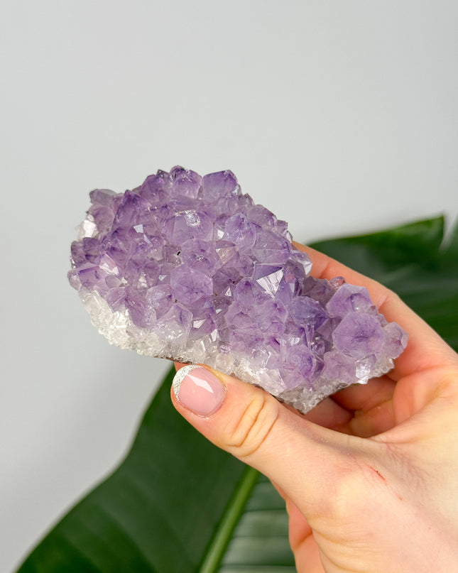 Amethyst Stufen/Cluster - Maxi (ab 50€)