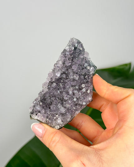 Amethyst Stufen/Cluster - Midi (20-50€)