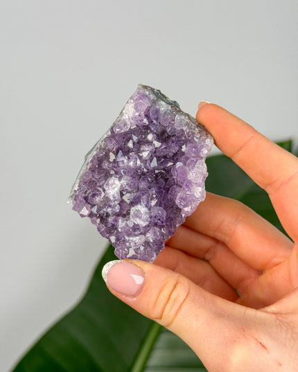 Amethyst Stufen/Cluster - Midi (20-50€)