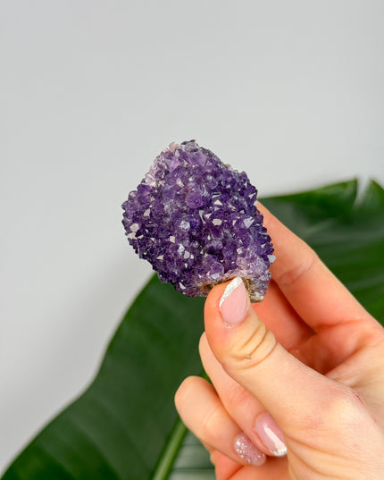 Amethyst Stufen/Cluster - Midi (20-50€)