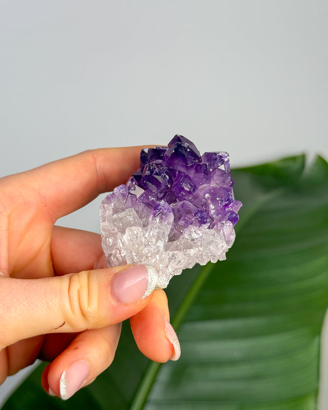 Amethyst Stufen/Cluster - Midi (20-50€)