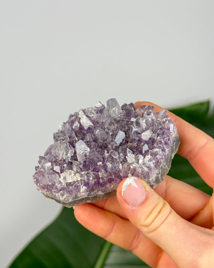 Amethyst Stufen/Cluster - Midi (20-50€)