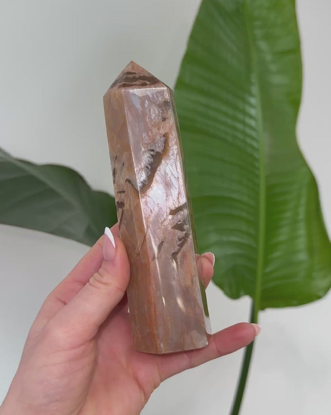 Mondstein Kristallspitze - AA+ Qualität