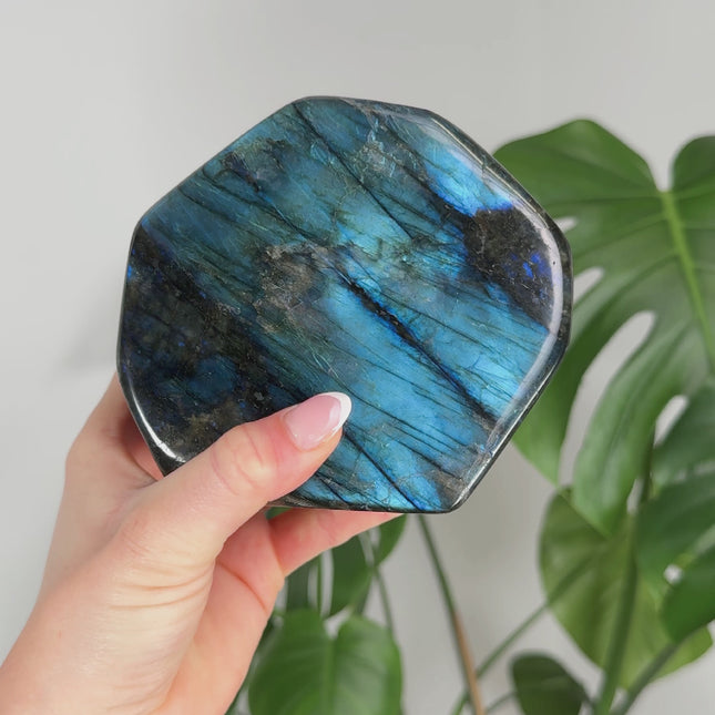 Labradorit Freeform - XL