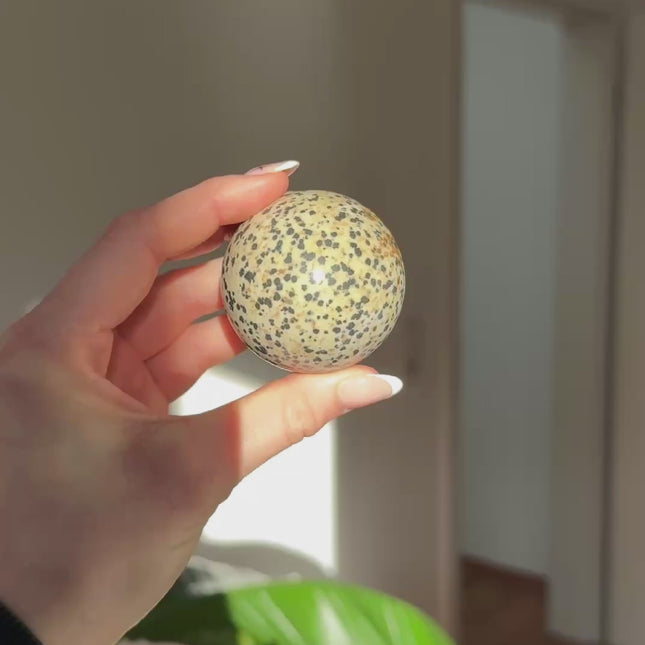 Dalmatinerstein Kugel