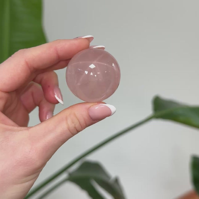 Rosenquarz Kugeln mit Stern