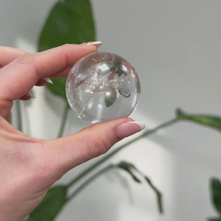 Collection image for: Neuheiten