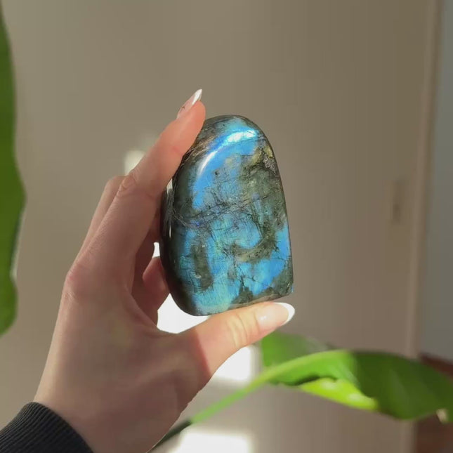 Labradorit Freeform