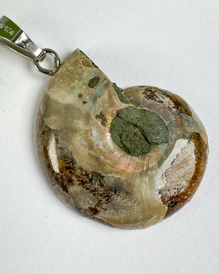 Ammonit - silber - Nr. 5