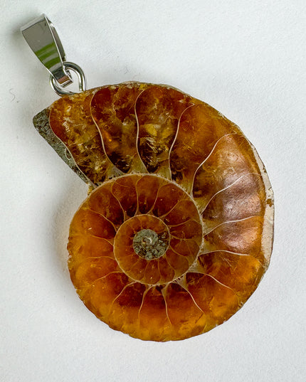 Ammonit - silber - Nr. 6