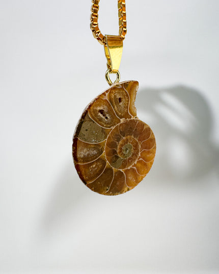 Ammonit - vergoldet - Nr. 1