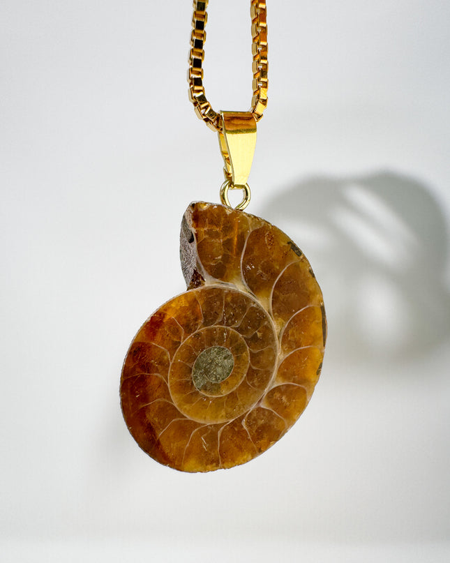 Ammonit - vergoldet - Nr. 2
