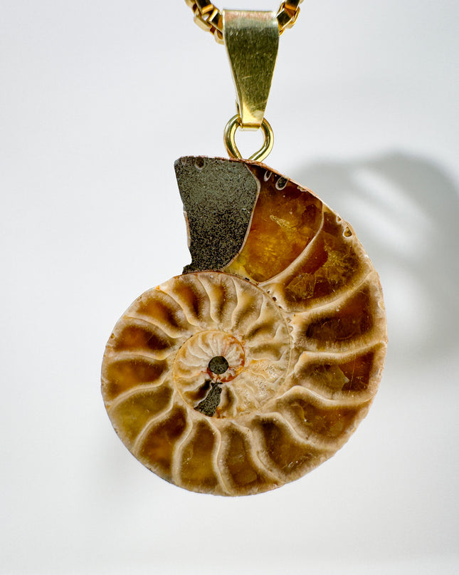 Ammonit - vergoldet - Nr. 4