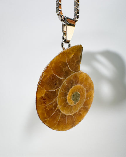 Ammonit - silber - Nr. 1