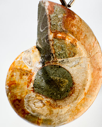 Ammonit - silber - Nr. 4